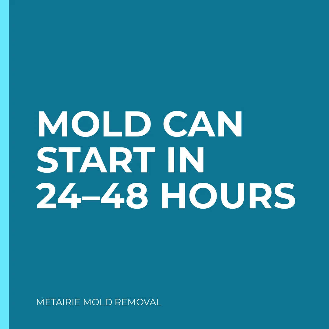 Mold can start in 24–48 hours