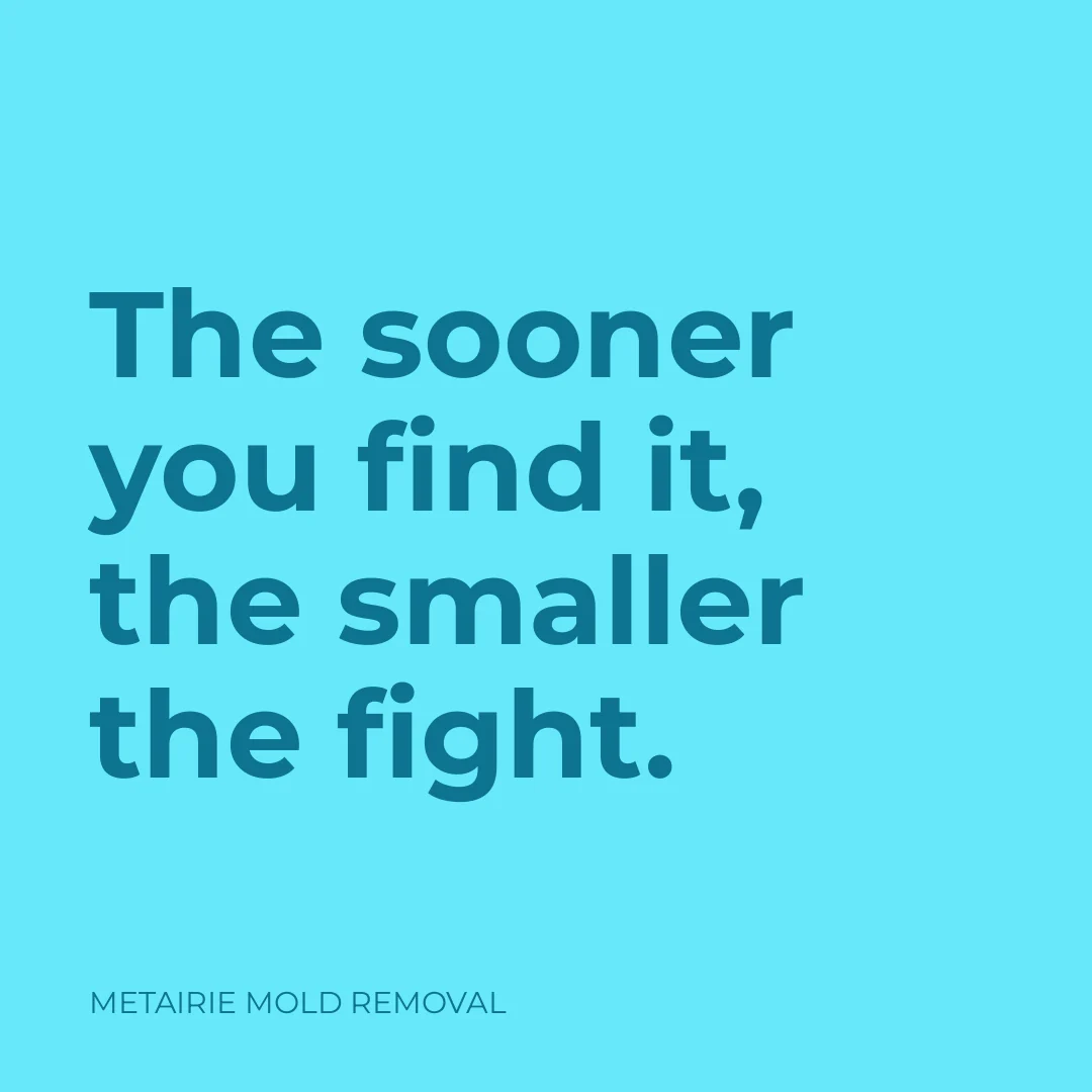The sooner you find it, the smaller the fight.